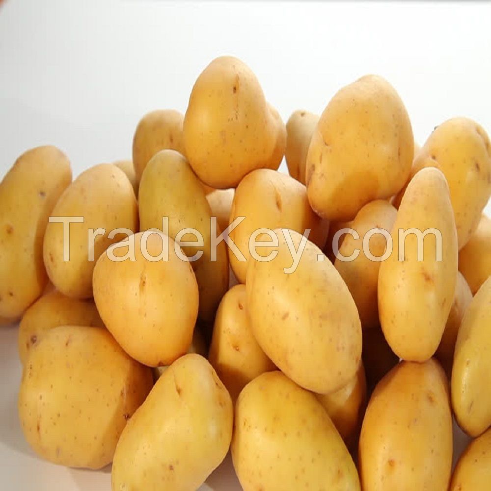 delicious fresh potato thailand market price