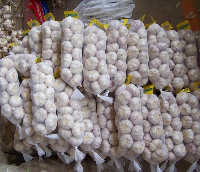 china reliable fresh garlic supplier