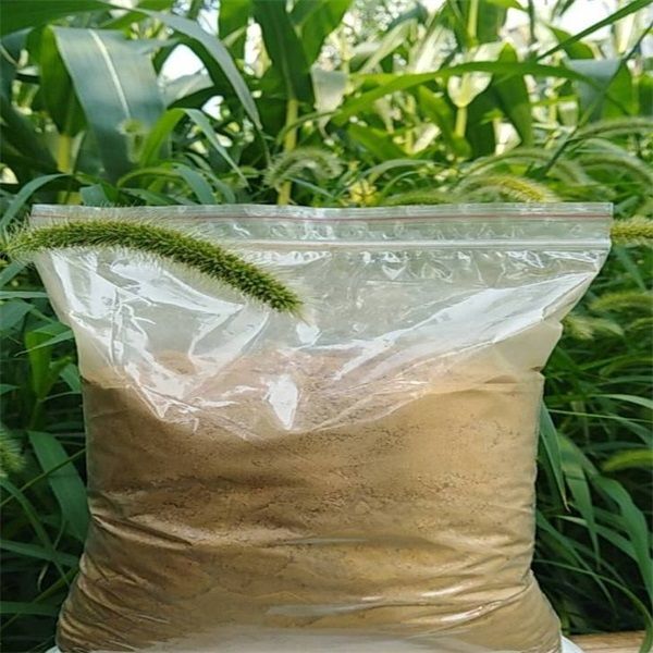 Corn steep liquor powder