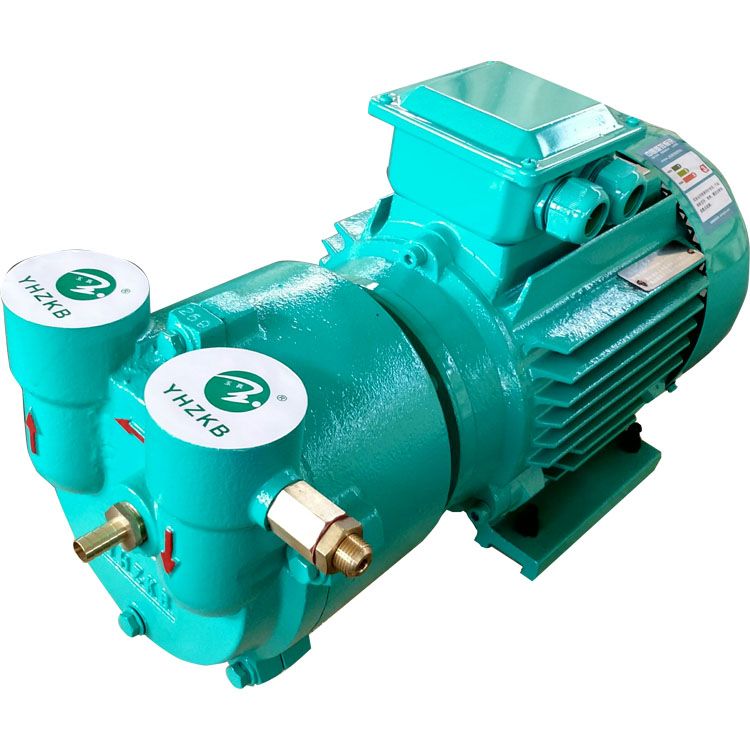 liquid ring vacuum pump