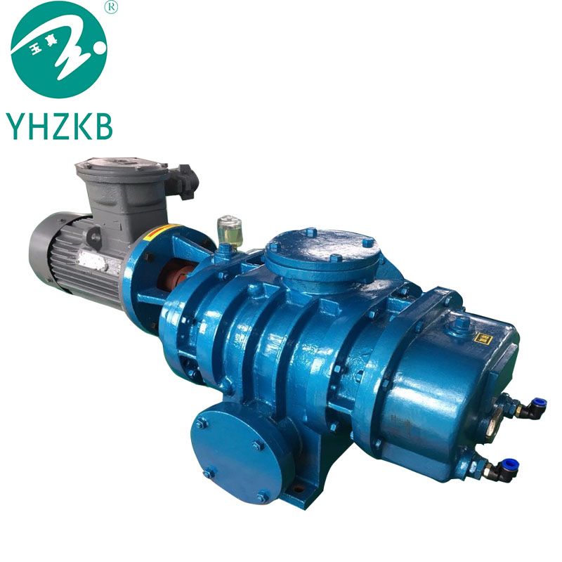 Roots vacuum pump