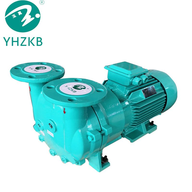 Liquid ring vacuum pump