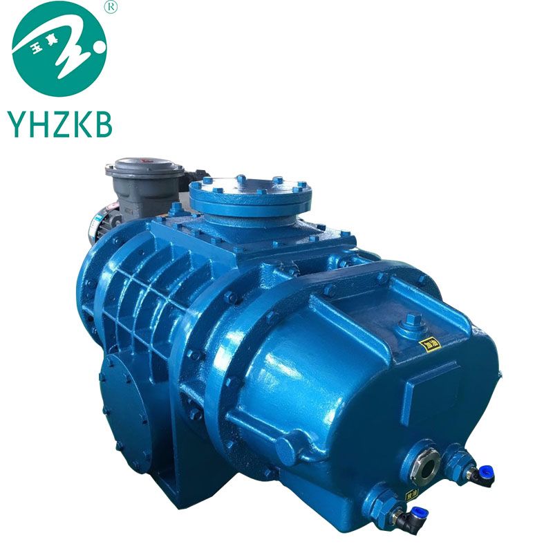 Roots vacuum pump