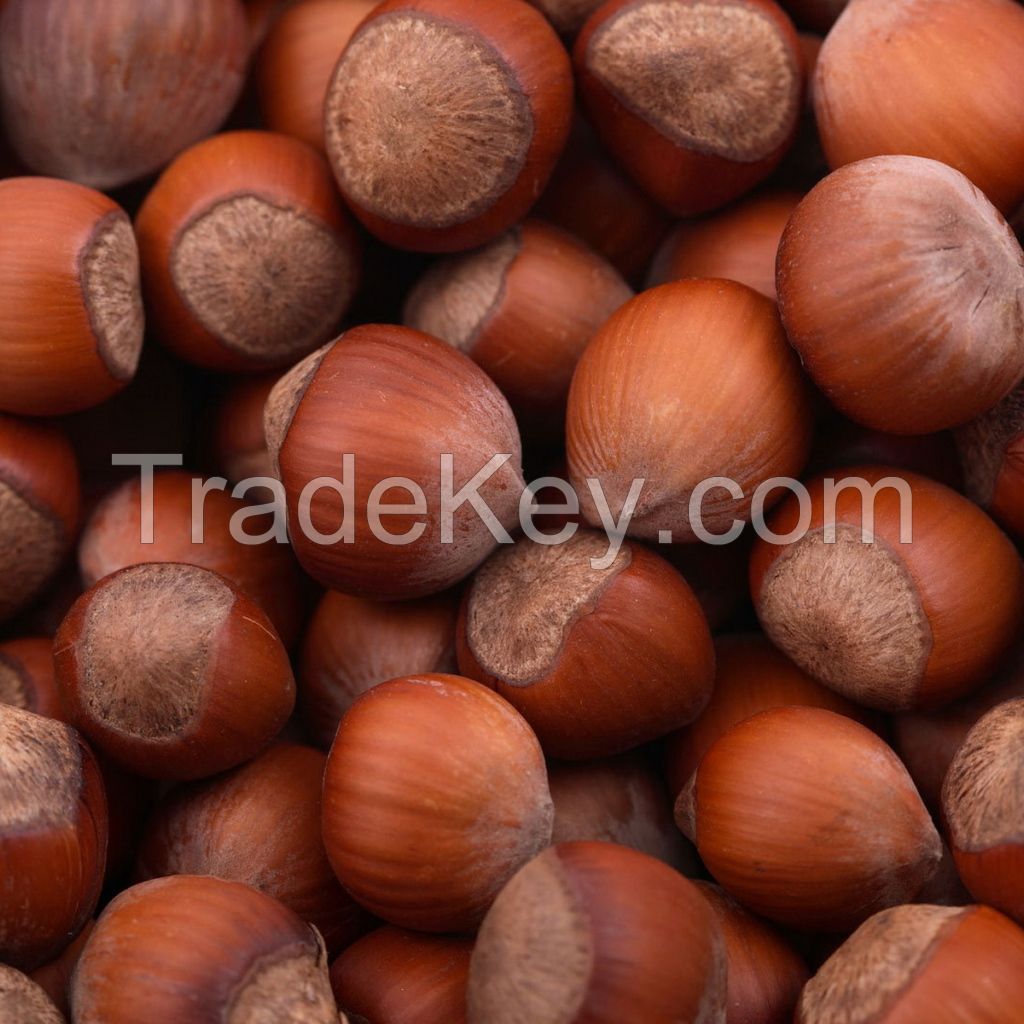 Hazelnuts