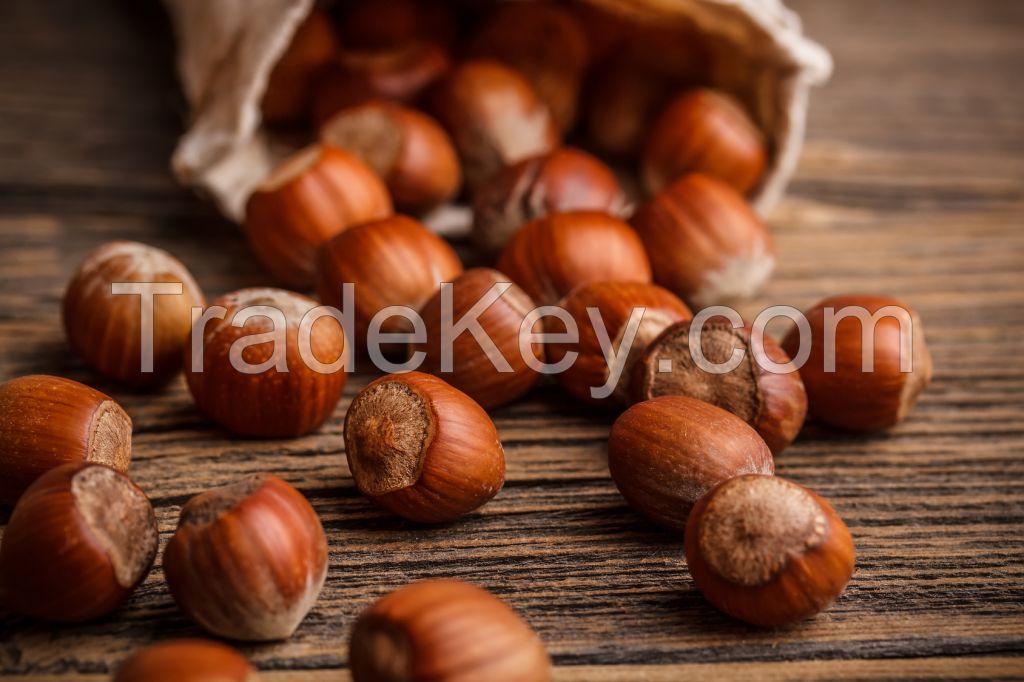 Hazelnuts