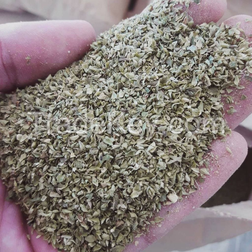 Oregano 