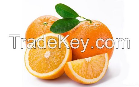 Sweet Fresh Mandarin Orange/Fresh Orange, Naval Orange, Valencia Oranges