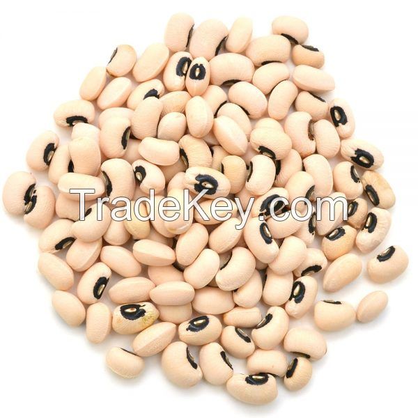 All Types Of Pulses; Lentils, Kidney Beans, Mung Beans