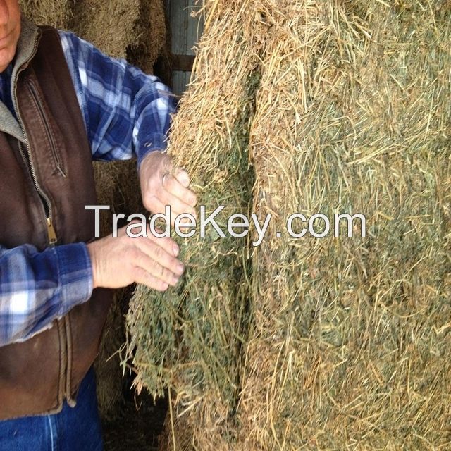 High Quality Animal Feed Alfalfa Hay From Ukraine