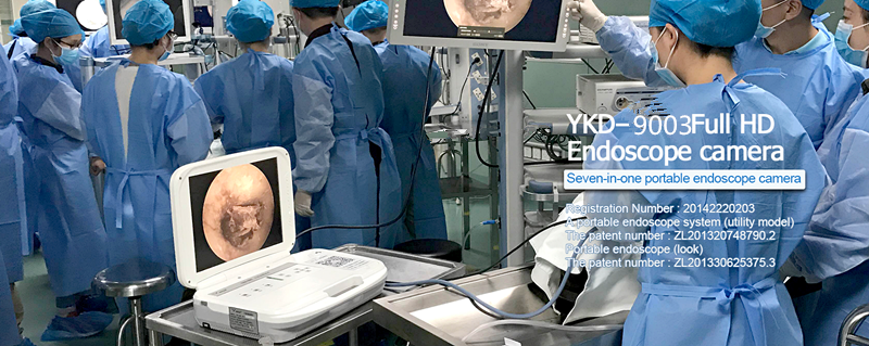 YKD-9003A2 Portable medical endoscope for ENT with cold light LED source 35W