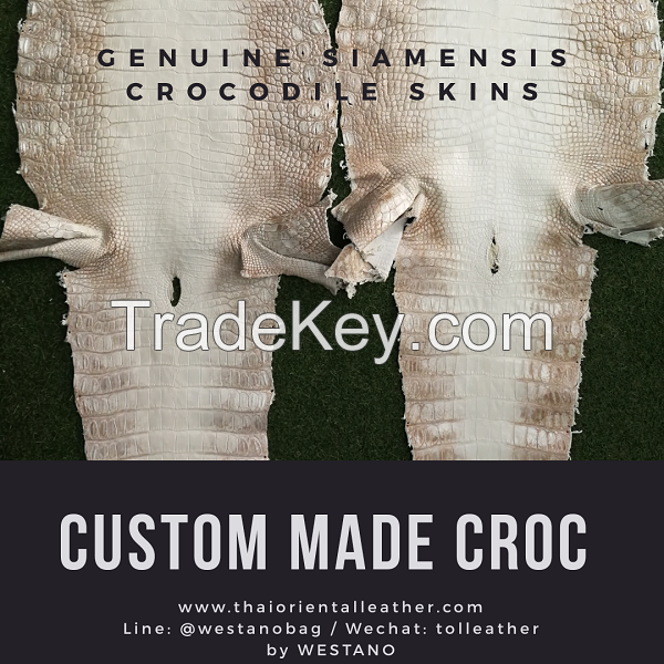 Genuine Alligator/Crocodile Leather Skins, Finished Crocodile Leather. Siamensis Crocodile Leathers Wholesale Factory Thailand