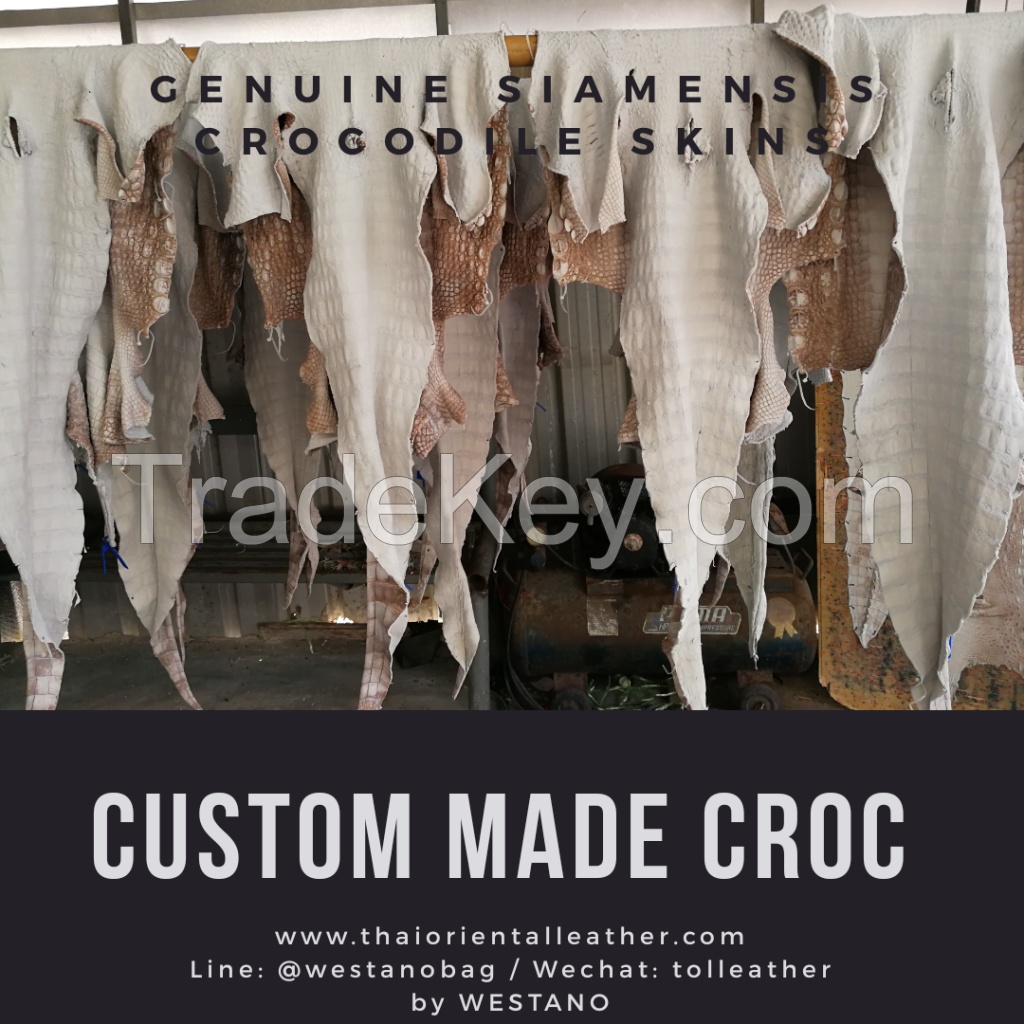 Genuine Alligator/Crocodile Leather Skins, Finished Crocodile Leather. Siamensis Crocodile Leathers Wholesale Factory Thailand