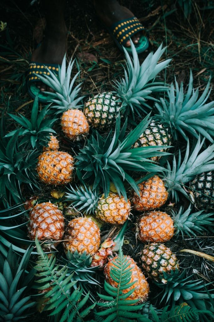 Pineapples from Kenya (Kaihowa)