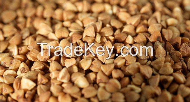 Buckwheat! Best price! Worldwide delivery!