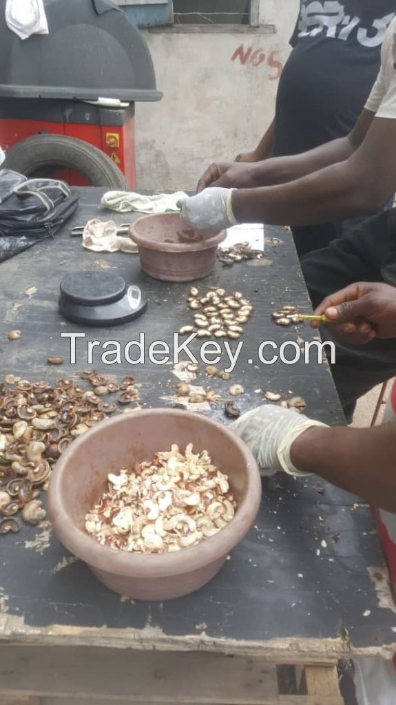 Raw Cashew Nuts