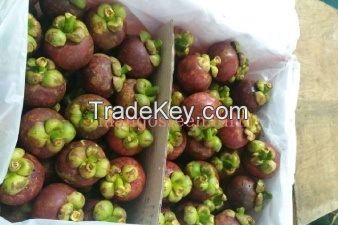 Mangosteen fresh fruit