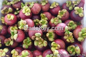 Mangosteen fresh fruit