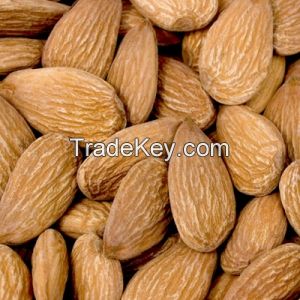 Almond Nuts