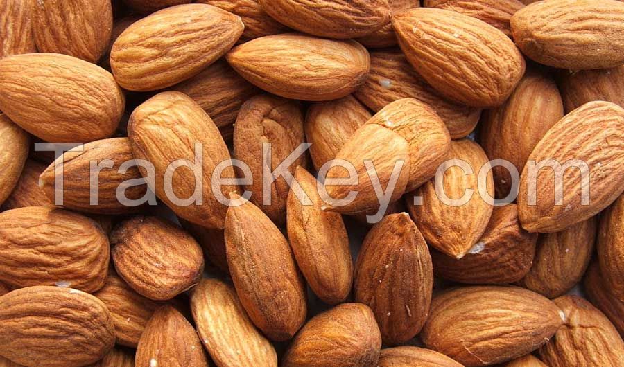 Fist grade Dried Almond Nuts (Sweet and Bitter Almond)