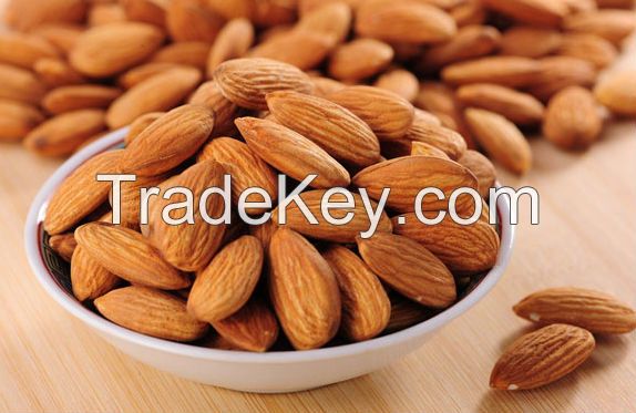 Fist grade Dried Almond Nuts (Sweet and Bitter Almond)