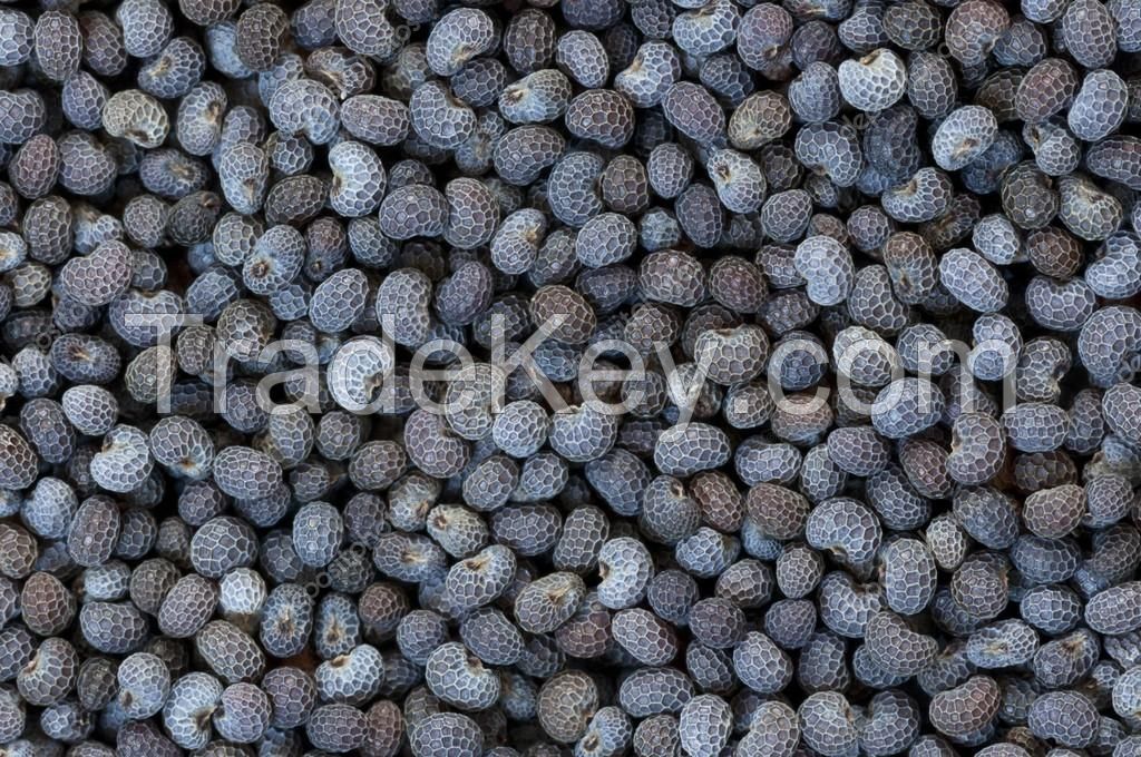 Poppy seeds/Blue and White Poppy Seeds/Blue Brown & White Poppy Seed 