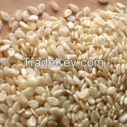 Natural White Sesame Seeds