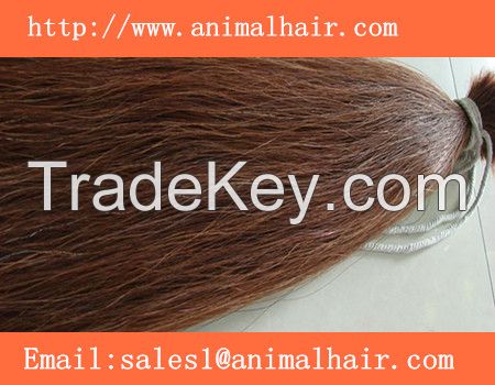 horse tail hair and pony tail hair  supplier  In China  