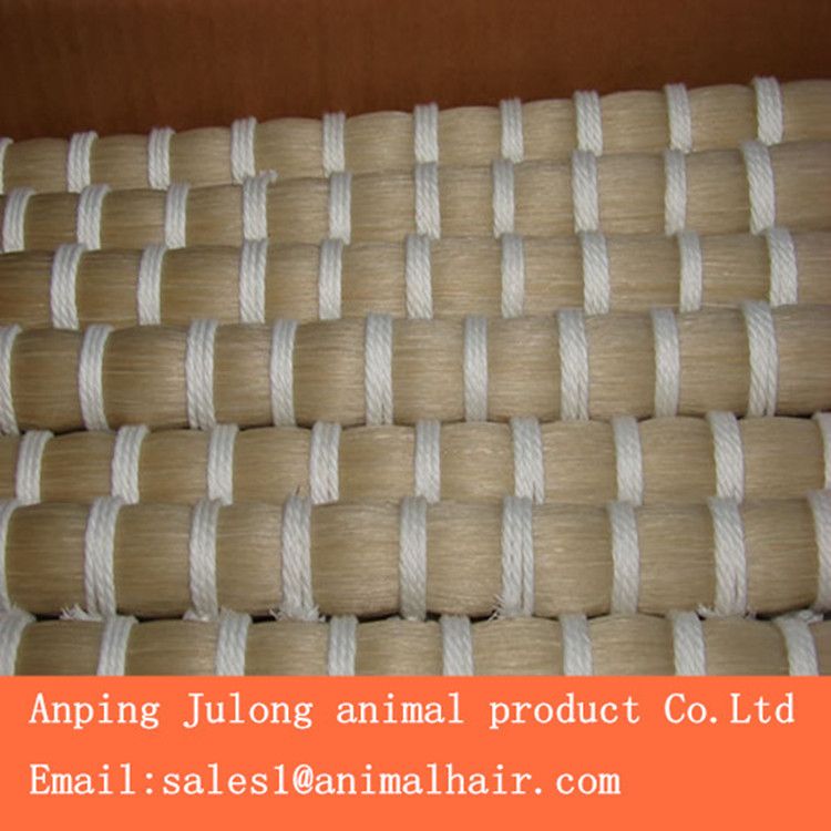 horse tail hair supplier