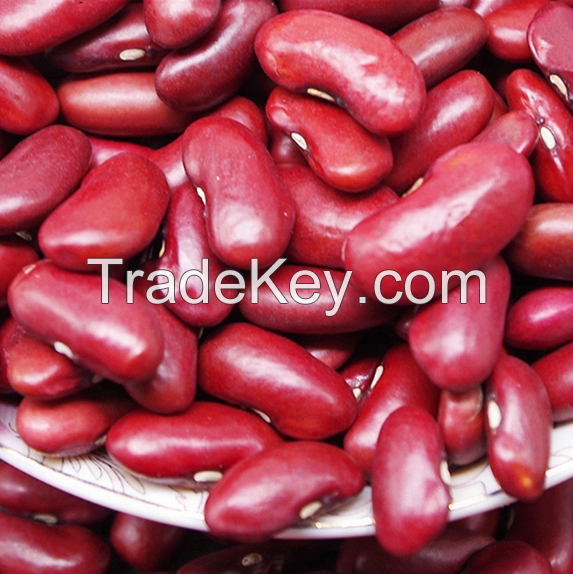 Wholesale Excellent Quality Black Beans | Speckled Kidney Beans | Red Beans