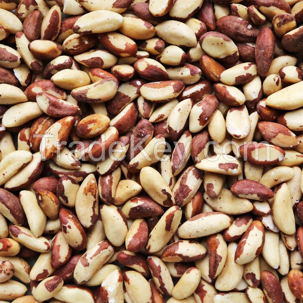 Wholesale  Hot Selling Cheap Brazil Nuts with 100% Natural Grade A 