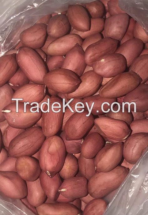 Wholesale Top Grade Peanuts / Blanched / With Skin / in Shell / 100% Natural