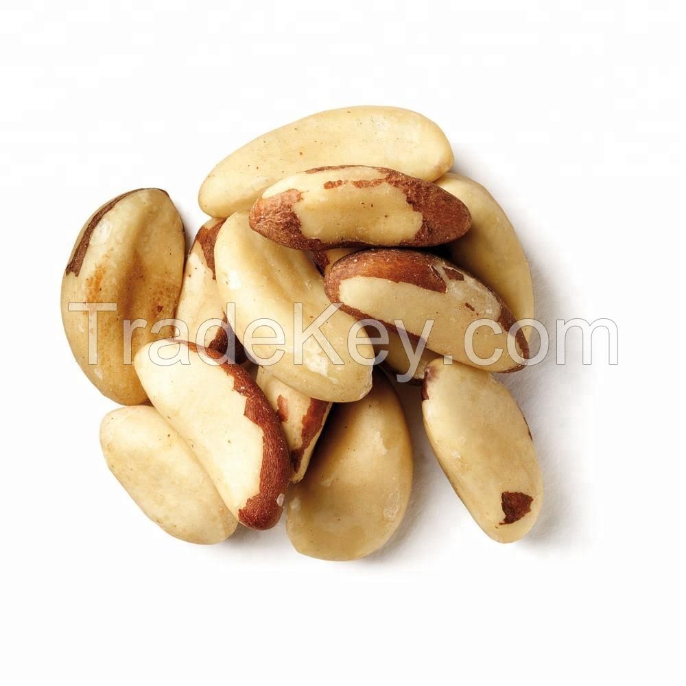 Wholesale  Brazil nuts for sale 