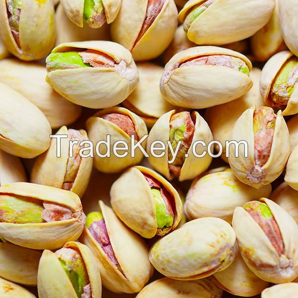 Wholesale pistachios nuts for sale 