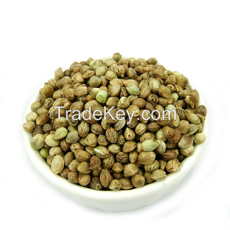 Wholesale Hemp seed Available in Stock
