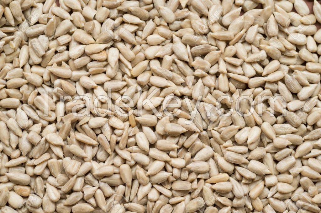 Wholesale flavored walnut, spiced, caramel roasted sunflower seeds