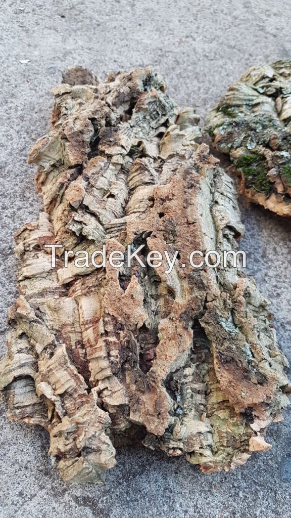 Cork Bark