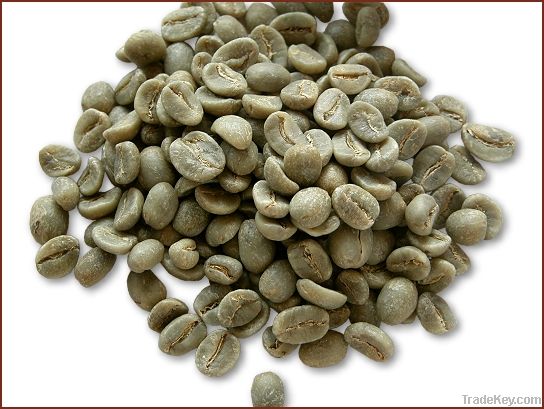 green coffee beans