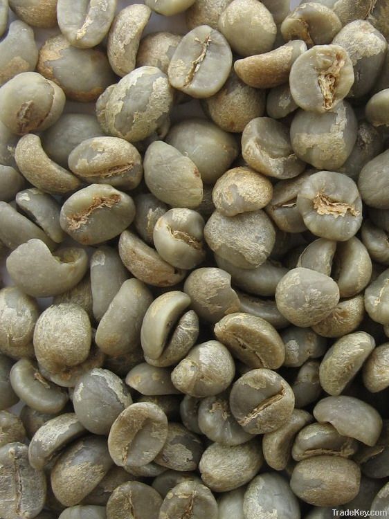 raw coffee beans