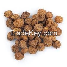 Tiger Nut