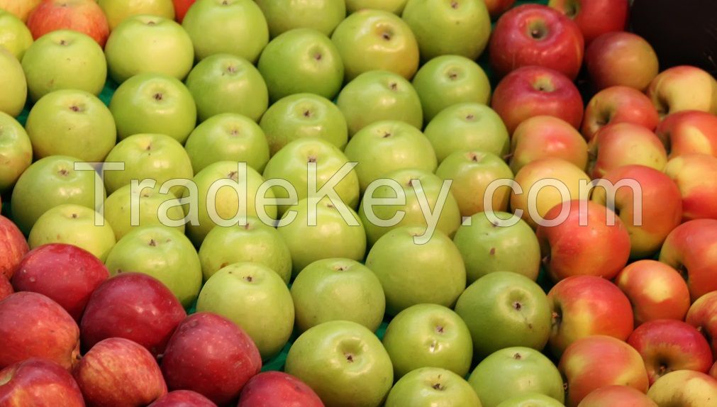 Bulk Fresh Fruits Apples Best Price Apples