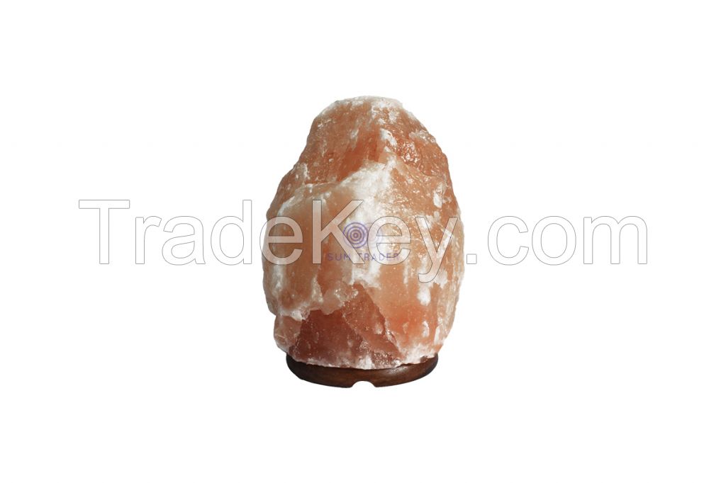 Natural Oval Shape Salt Lamp