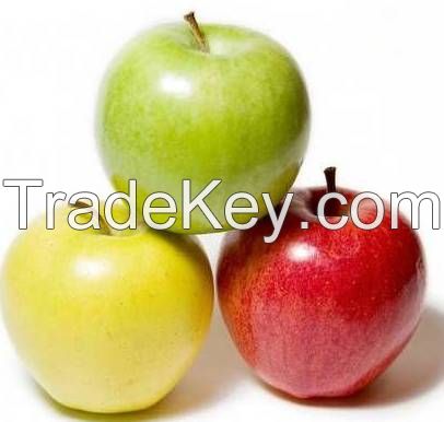 Fresh Apples from Ukraine Fuji, Gala, Champion, Ligol, Golden, Florin