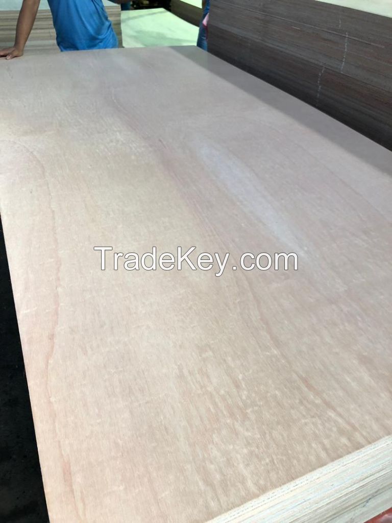 Commercial Plywood