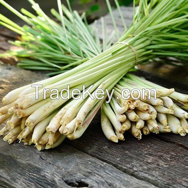 &quot;Lush-Leaf by Happy Fresh Ã�Â¢Ã¯Â¿Â½Ã¯Â¿Â½ Lemongrass&quot;