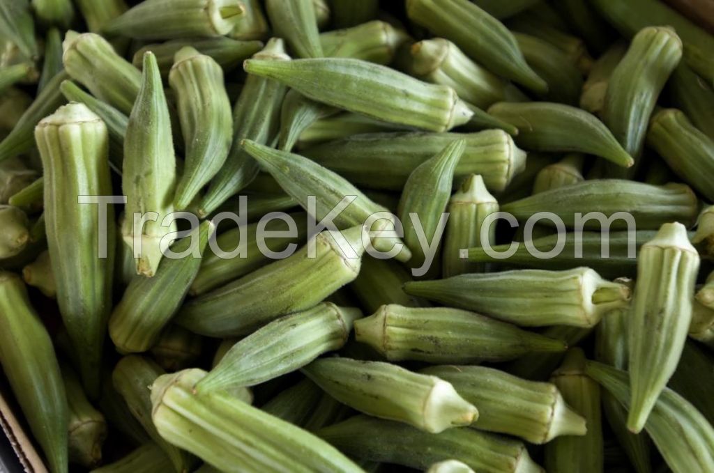 Happy Fresh Ã�Â¢Ã¯Â¿Â½Ã¯Â¿Â½ Premium Garden Okra