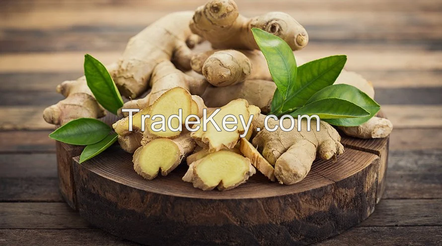 Golden-Glow Ginger by Happy Fresh &quot;Bright, bold, and naturally healing&quot;