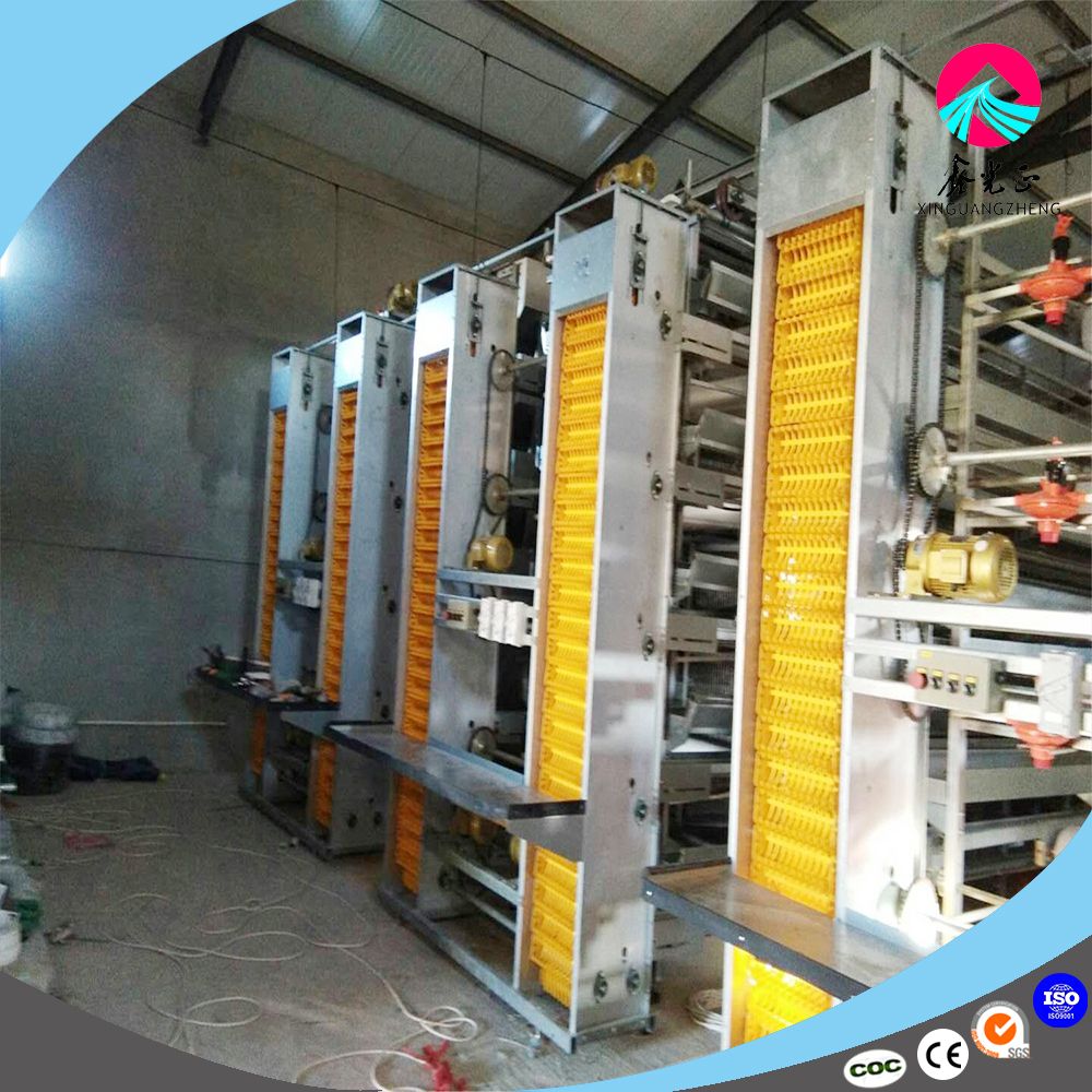 Poultry Farm House Design Automatic Equipment for Broilers and Breeders