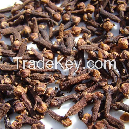 HIGH QUALITY DRY CLOVE SPICES & HERBS