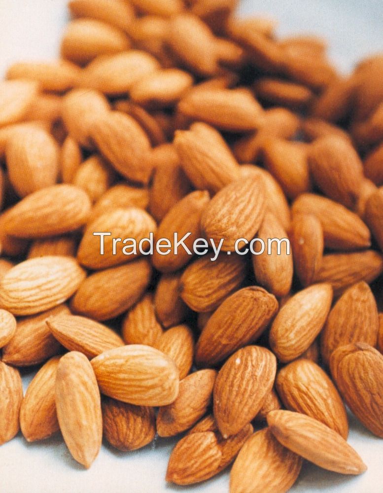 Almond Nuts And Cashew Nuts