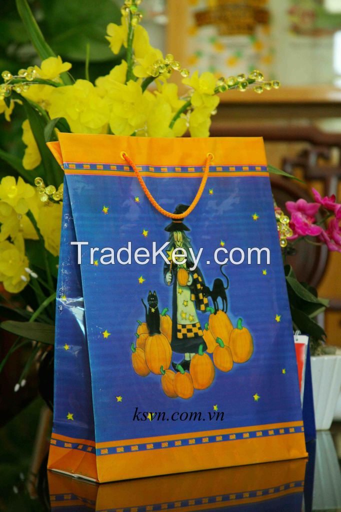 Rope Handle Plastic Shopping Bag